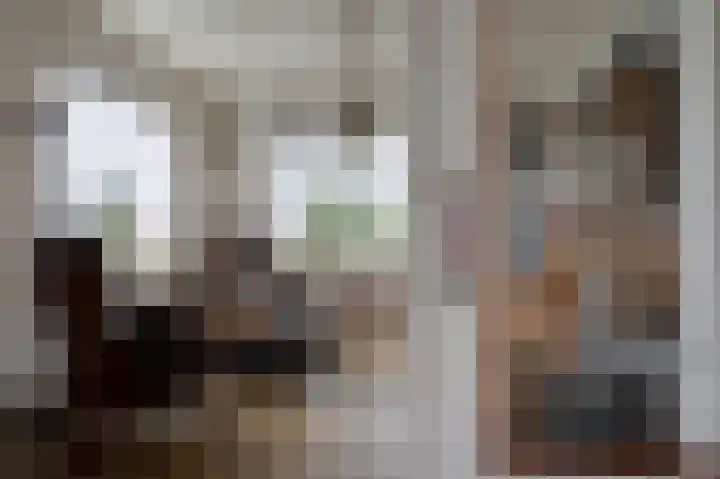 Oudestreek 9 Zevenhuizen thumbnail 8