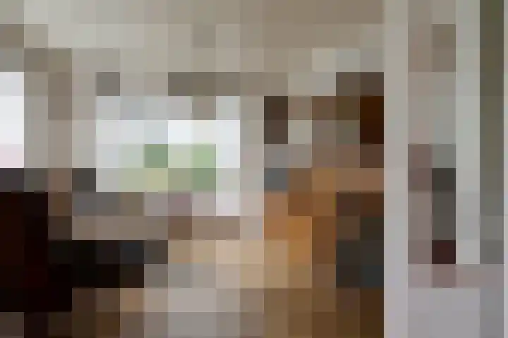 Oudestreek 9 Zevenhuizen thumbnail 9