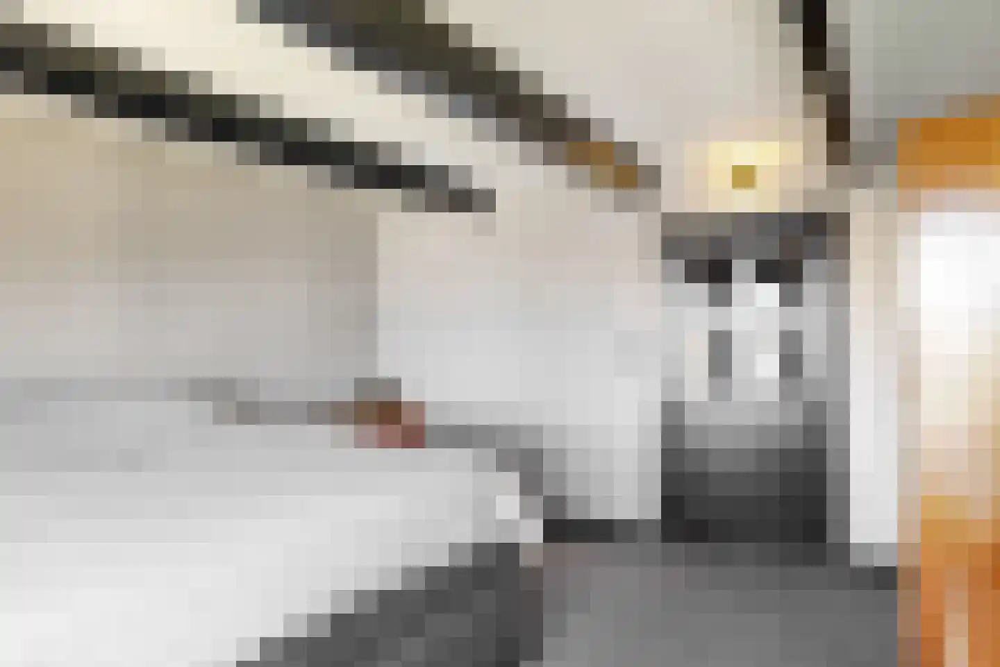 Oudevaartsgat 1 Medemblik thumbnail 27