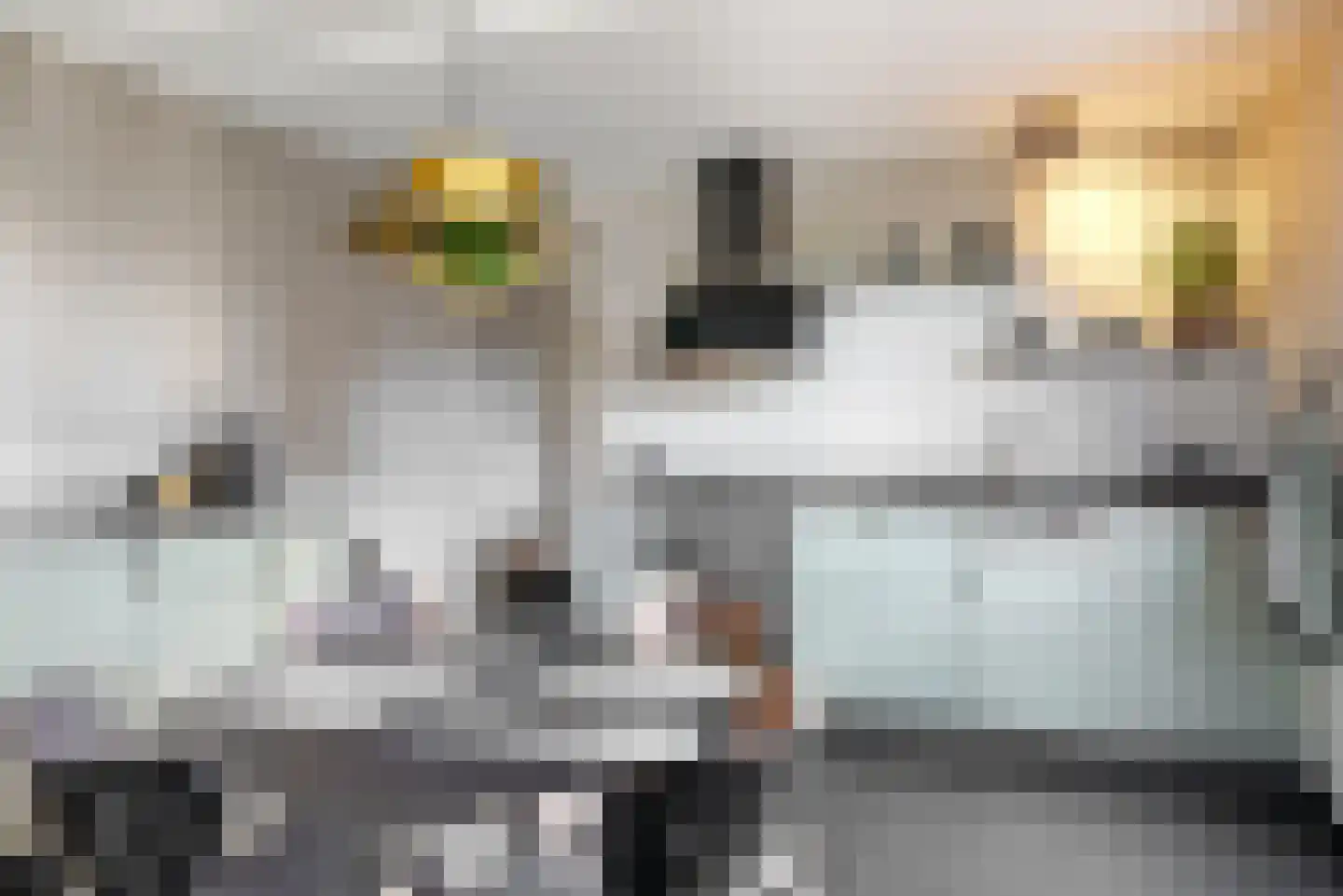Oudevaartsgat 1 Medemblik thumbnail 7