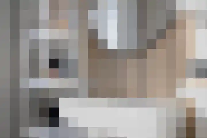 Oudeveen 100 Veenendaal thumbnail 13