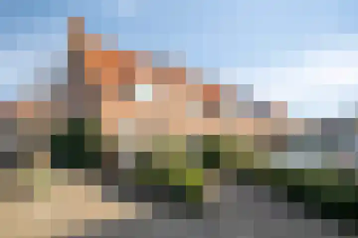 Oudeveen 100 Veenendaal thumbnail 25