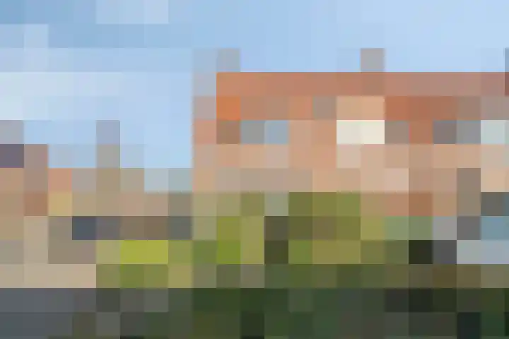 Oudeveen 100 Veenendaal thumbnail 26