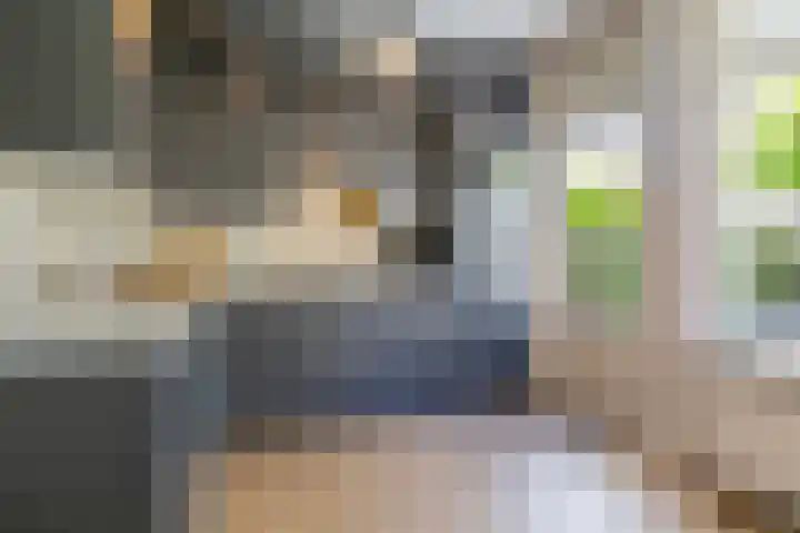 Oudeveen 101 Veenendaal thumbnail 13