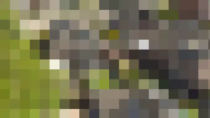 Oudeveen 101 Veenendaal thumbnail 30