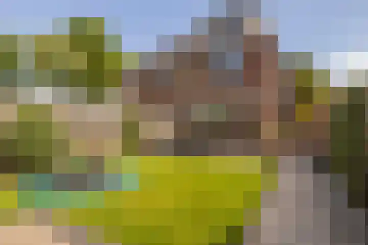 Oudeveen 101 Veenendaal thumbnail 32