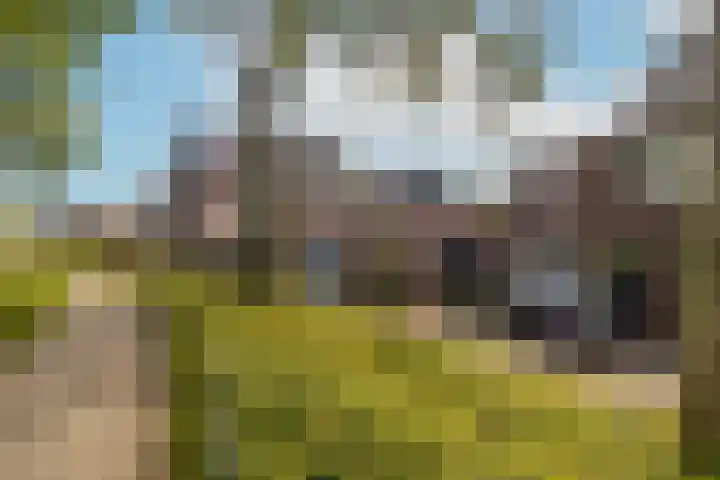 Oudeveen 101 Veenendaal thumbnail 34