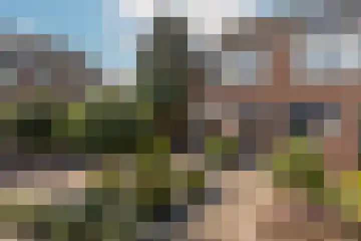 Oudeveen 101 Veenendaal thumbnail 35