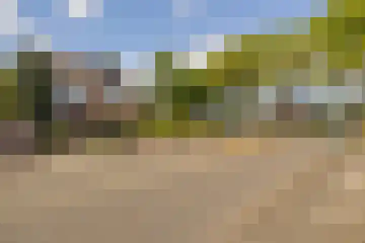Oudeveen 101 Veenendaal thumbnail 36