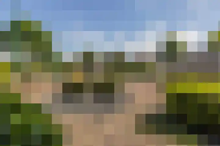 Oudeveen 101 Veenendaal thumbnail 37