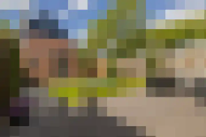 Oudeveen 101 Veenendaal thumbnail 4