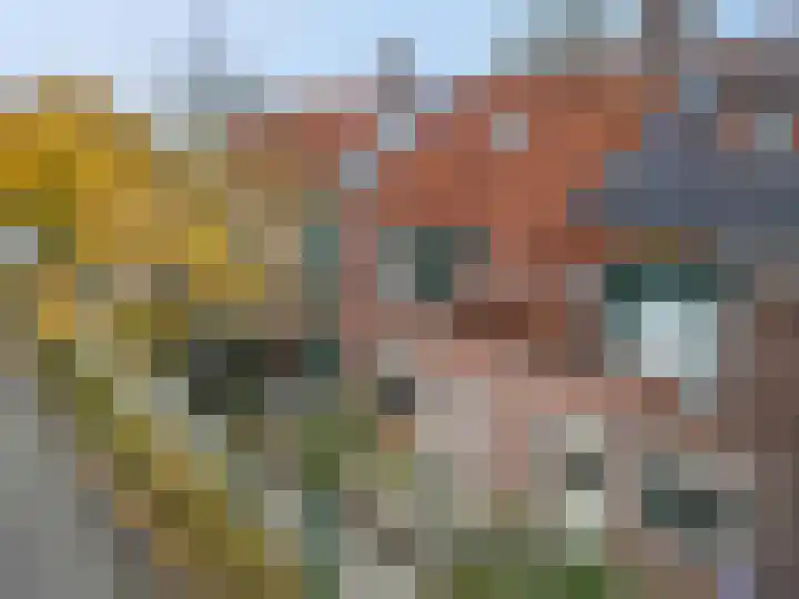 Oudeveen 104 Veenendaal thumbnail 38