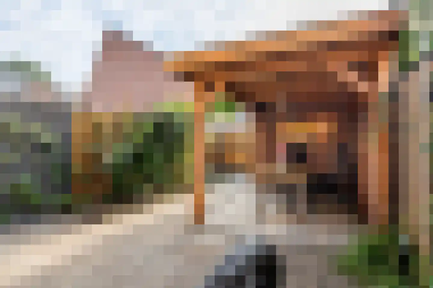 Oudeveen 116 Veenendaal thumbnail 4