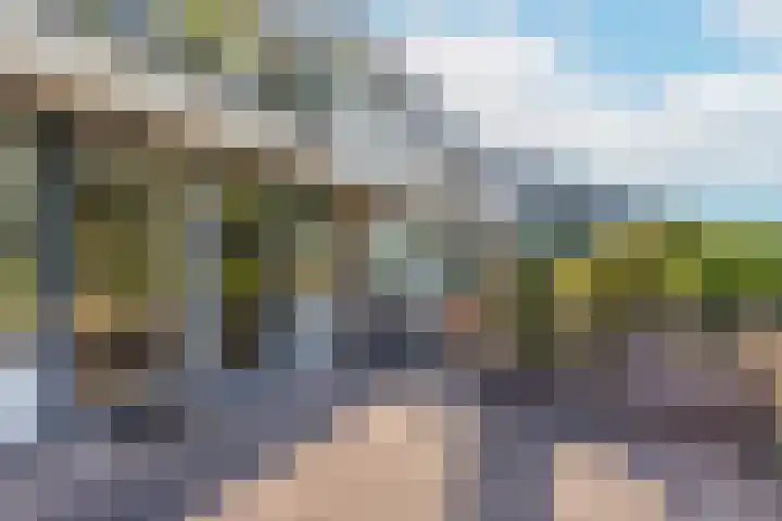 Oudeveen 2 A Veenendaal thumbnail 15