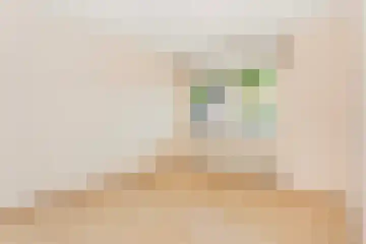 Oudeveen 2 A Veenendaal thumbnail 16