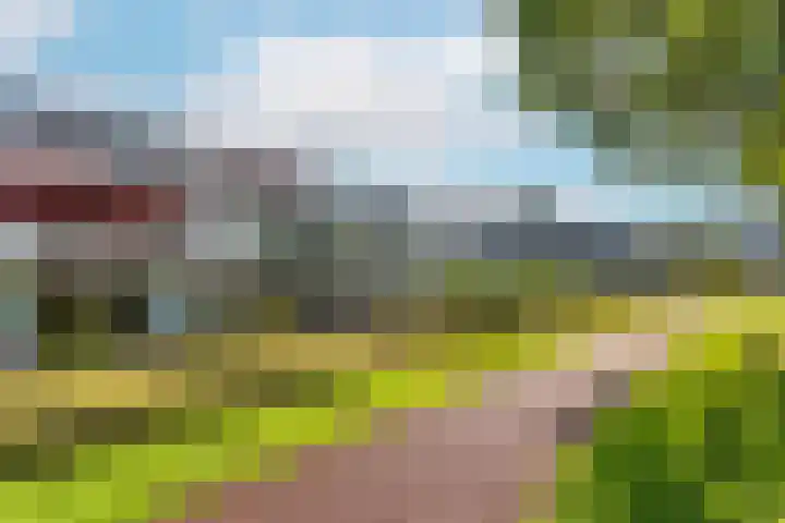 Oudeveen 2 A Veenendaal thumbnail 28