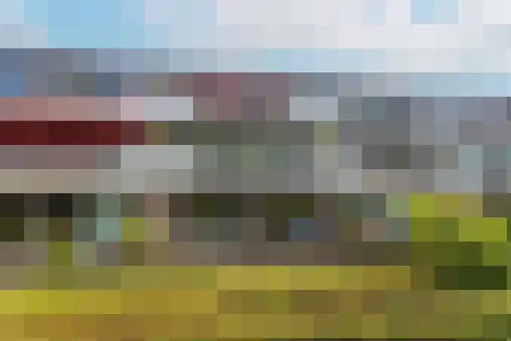 Oudeveen 2 A Veenendaal thumbnail 34