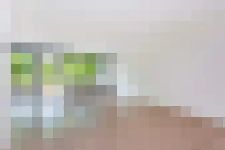 Oudeveen 2 A Veenendaal thumbnail 5