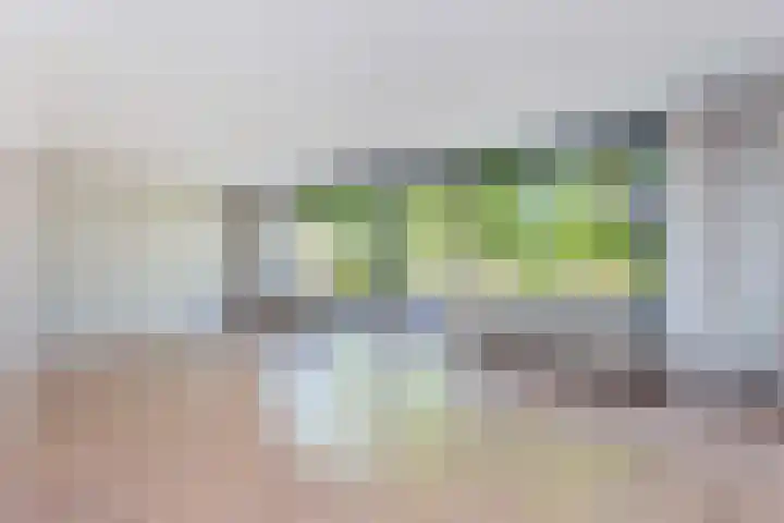 Oudeveen 2 A Veenendaal thumbnail 7