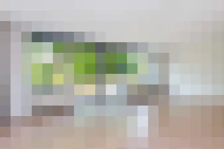 Oudeveen 2 A Veenendaal thumbnail 8