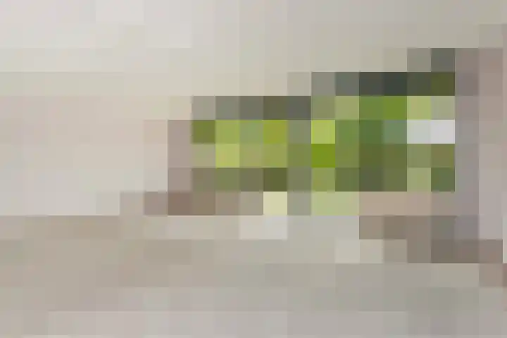 Oudeveen 2 D Veenendaal thumbnail 10