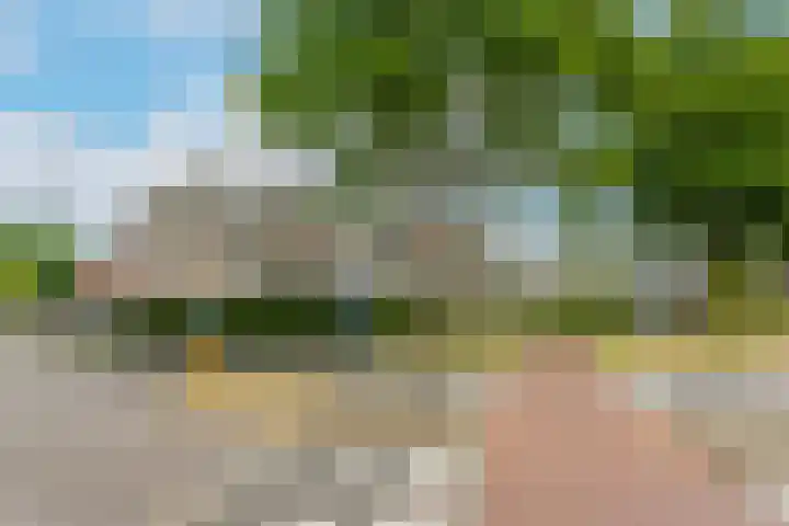 Oudeveen 2 D Veenendaal thumbnail 25