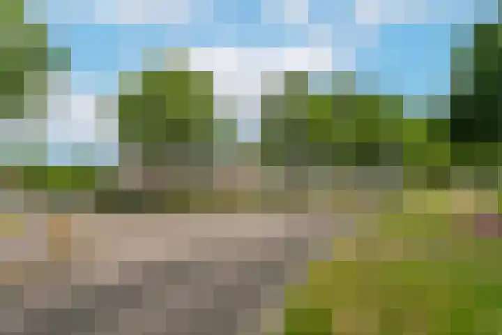 Oudeveen 2 D Veenendaal thumbnail 26