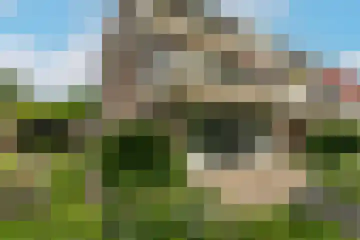 Oudeveen 2 D Veenendaal thumbnail 31