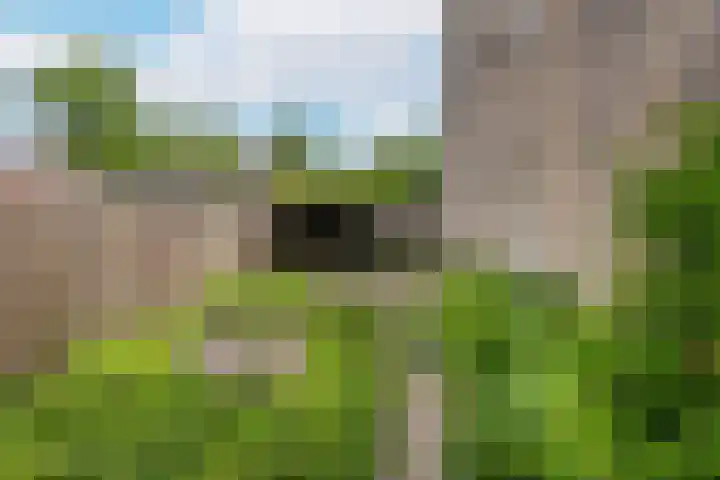 Oudeveen 2 D Veenendaal thumbnail 4