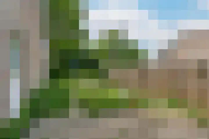 Oudeveen 2 D Veenendaal thumbnail 5