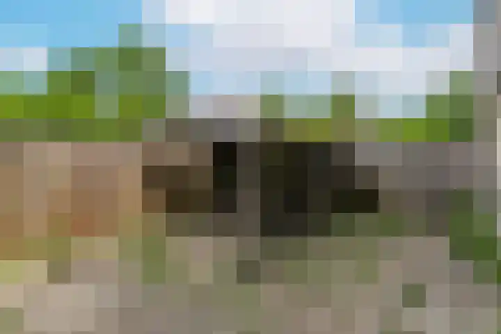 Oudeveen 2 D Veenendaal thumbnail 6