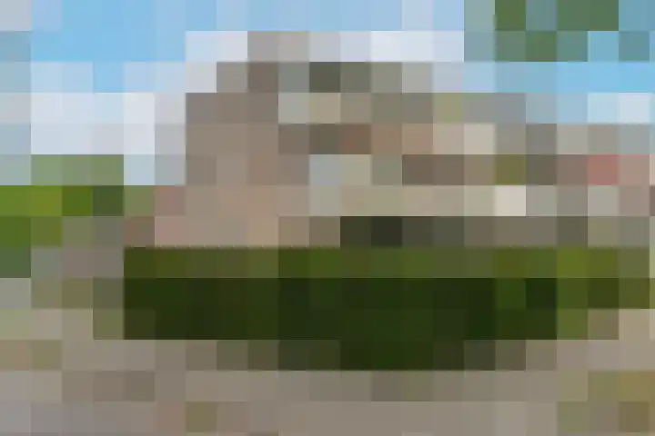 Oudeveen 2 D Veenendaal thumbnail 7