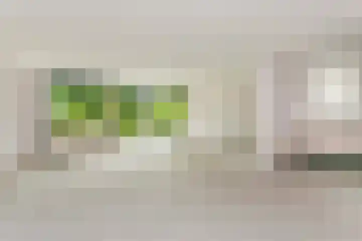 Oudeveen 2 D Veenendaal thumbnail 9