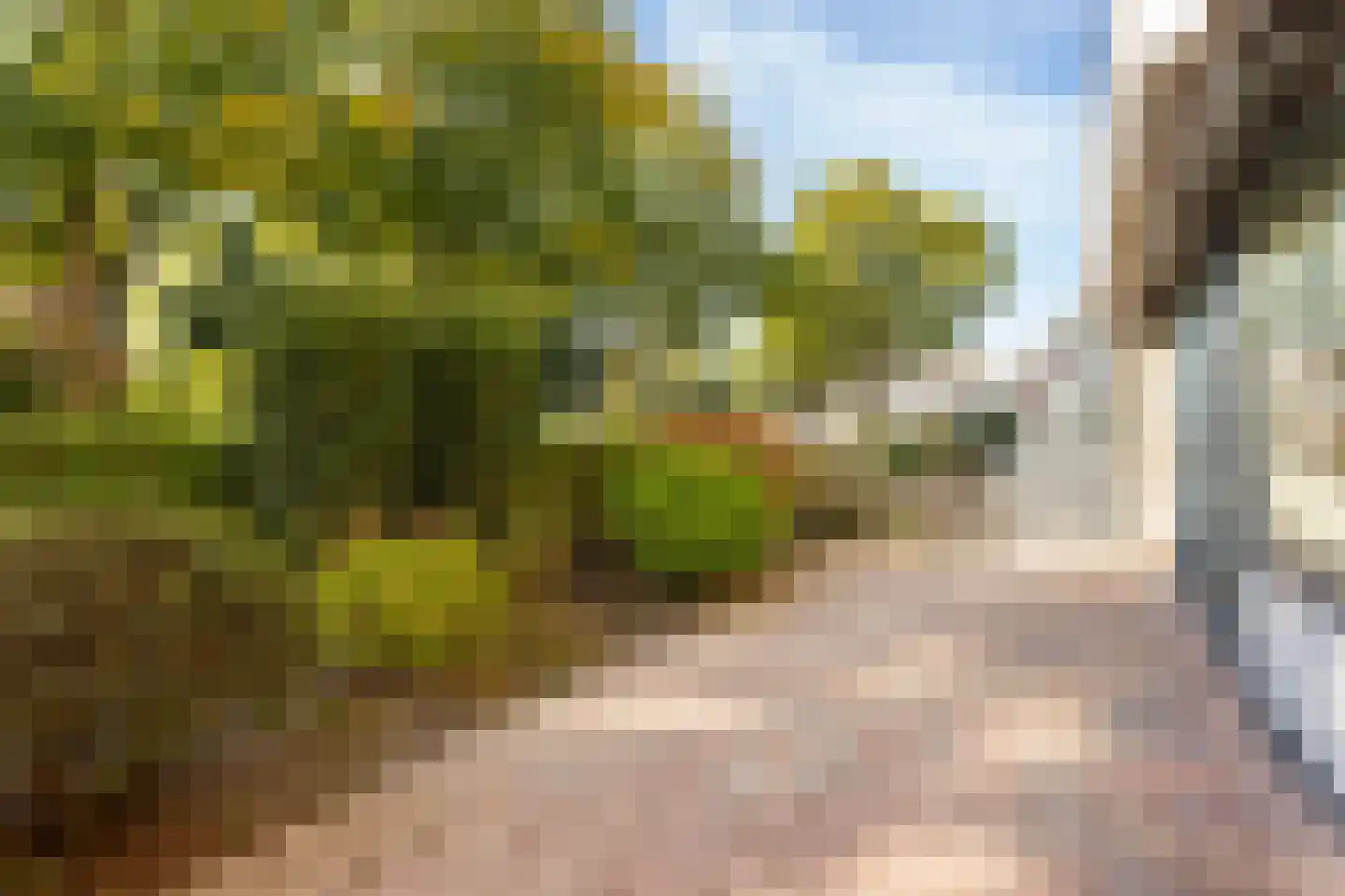 Oudeveen 2 Veenendaal thumbnail 14