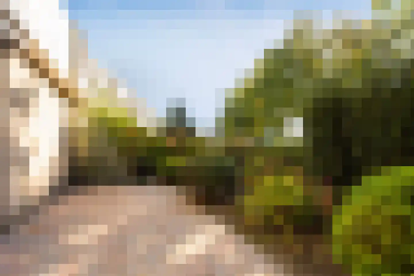 Oudeveen 2 Veenendaal thumbnail 16