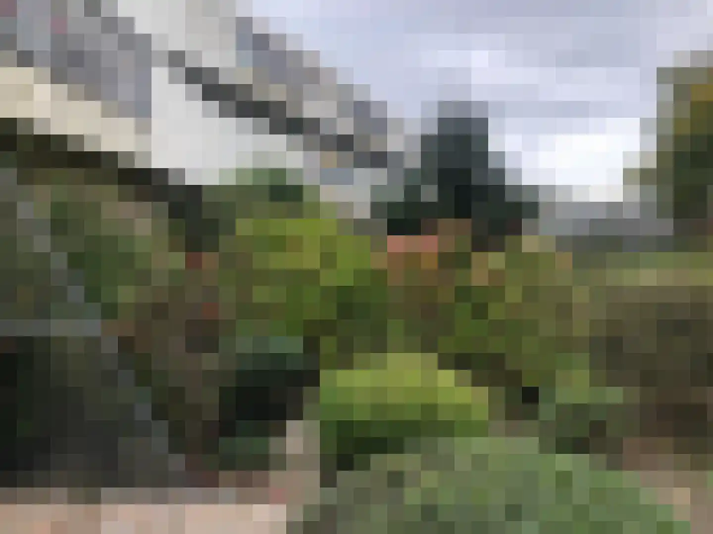Oudeveen 2 Veenendaal thumbnail 17