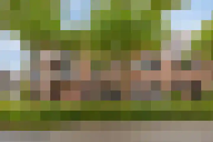 Oudeveen 37 Veenendaal thumbnail 6