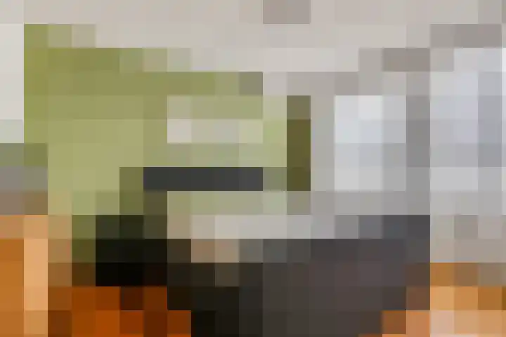 Oudeveen 87 Veenendaal thumbnail 18