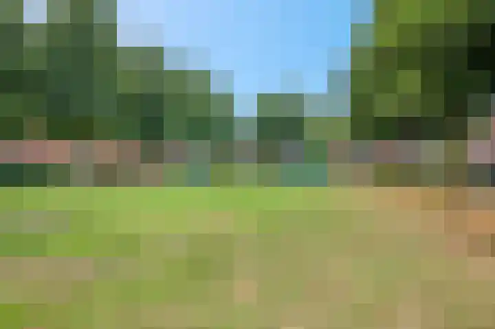 Oudeveen 87 Veenendaal thumbnail 39