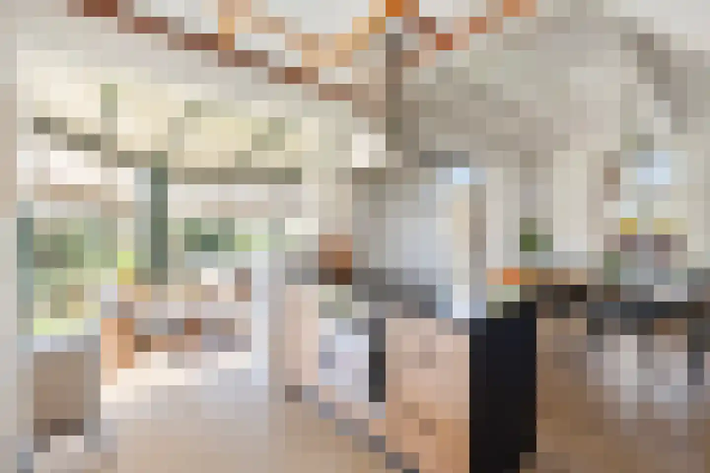 Oudewal 129 Warmenhuizen thumbnail 11