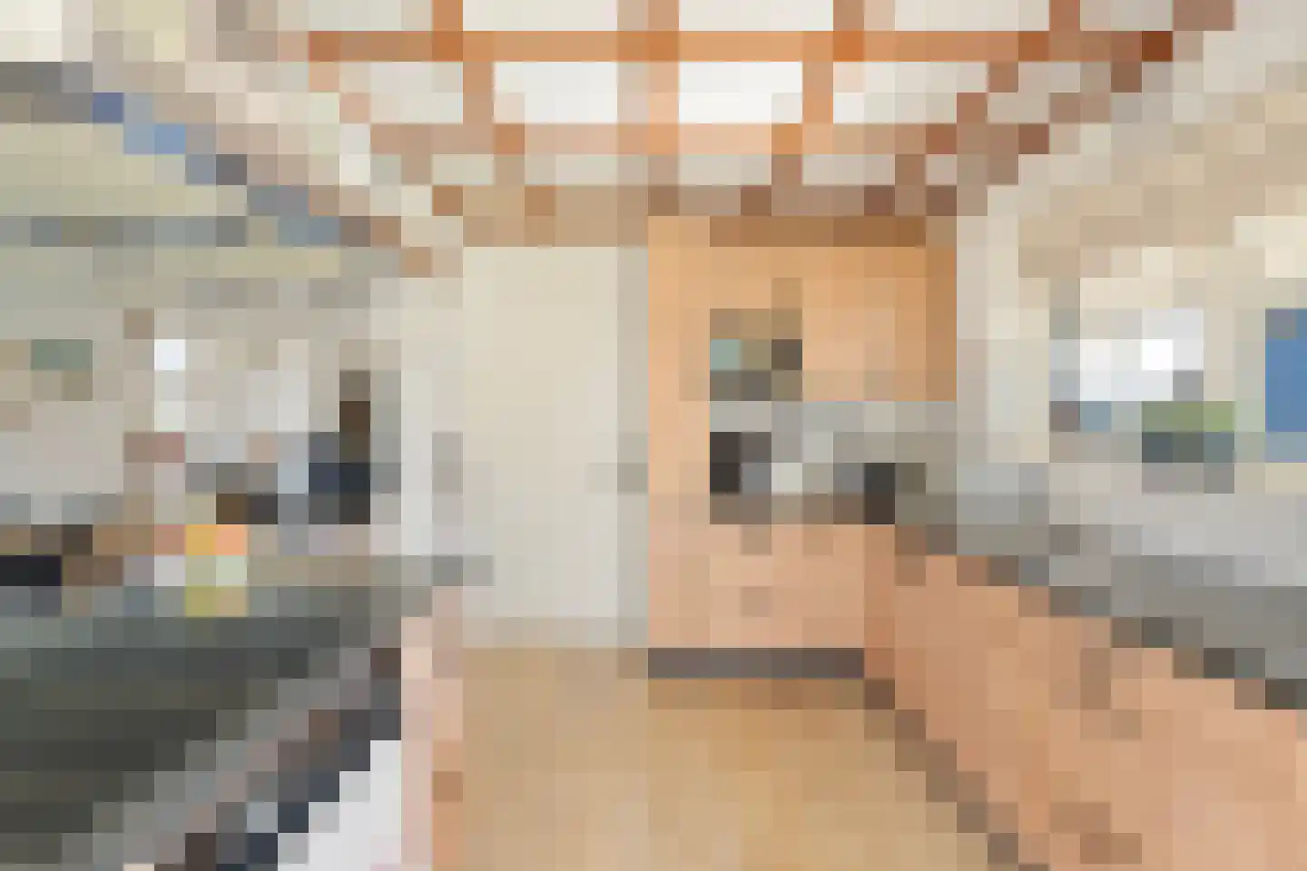 Oudewal 129 Warmenhuizen thumbnail 12
