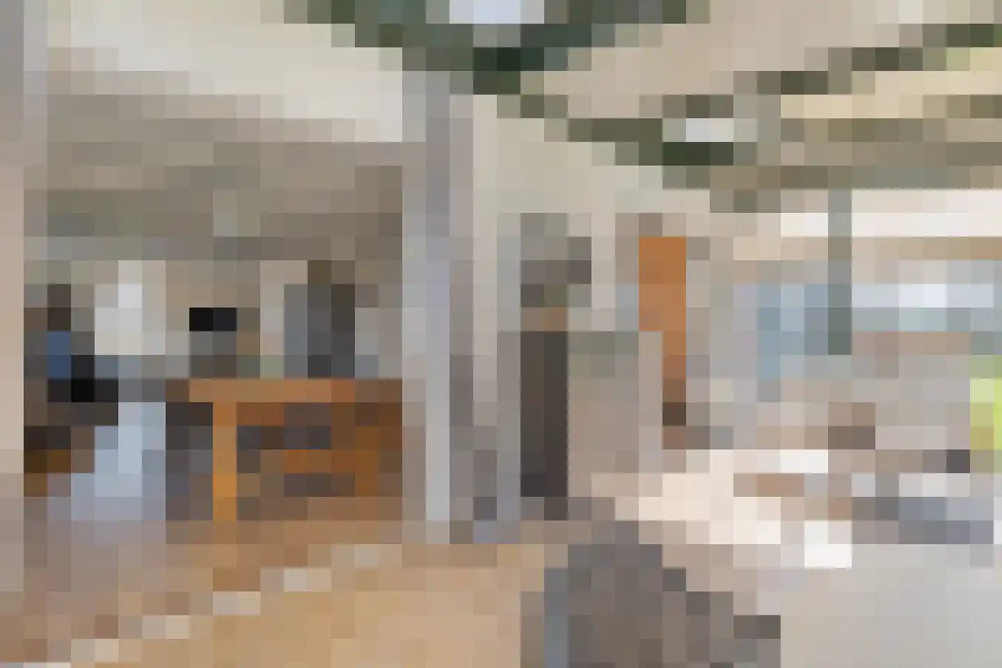 Oudewal 129 Warmenhuizen thumbnail 17