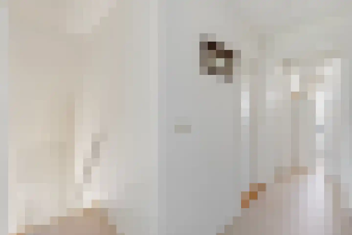 Oudewal 129 Warmenhuizen thumbnail 21