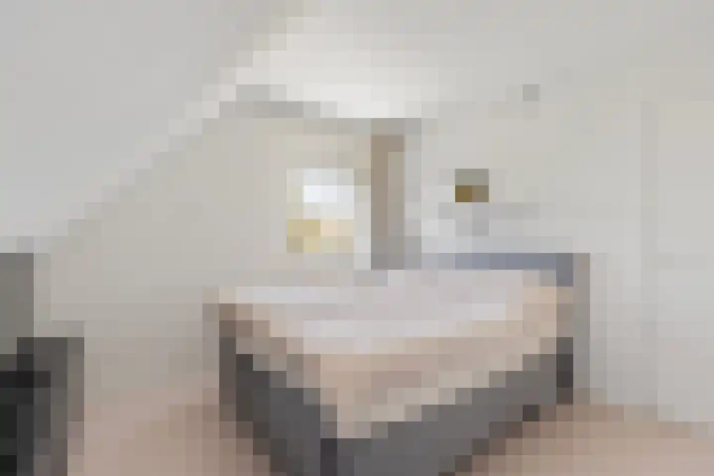 Oudewal 129 Warmenhuizen thumbnail 22
