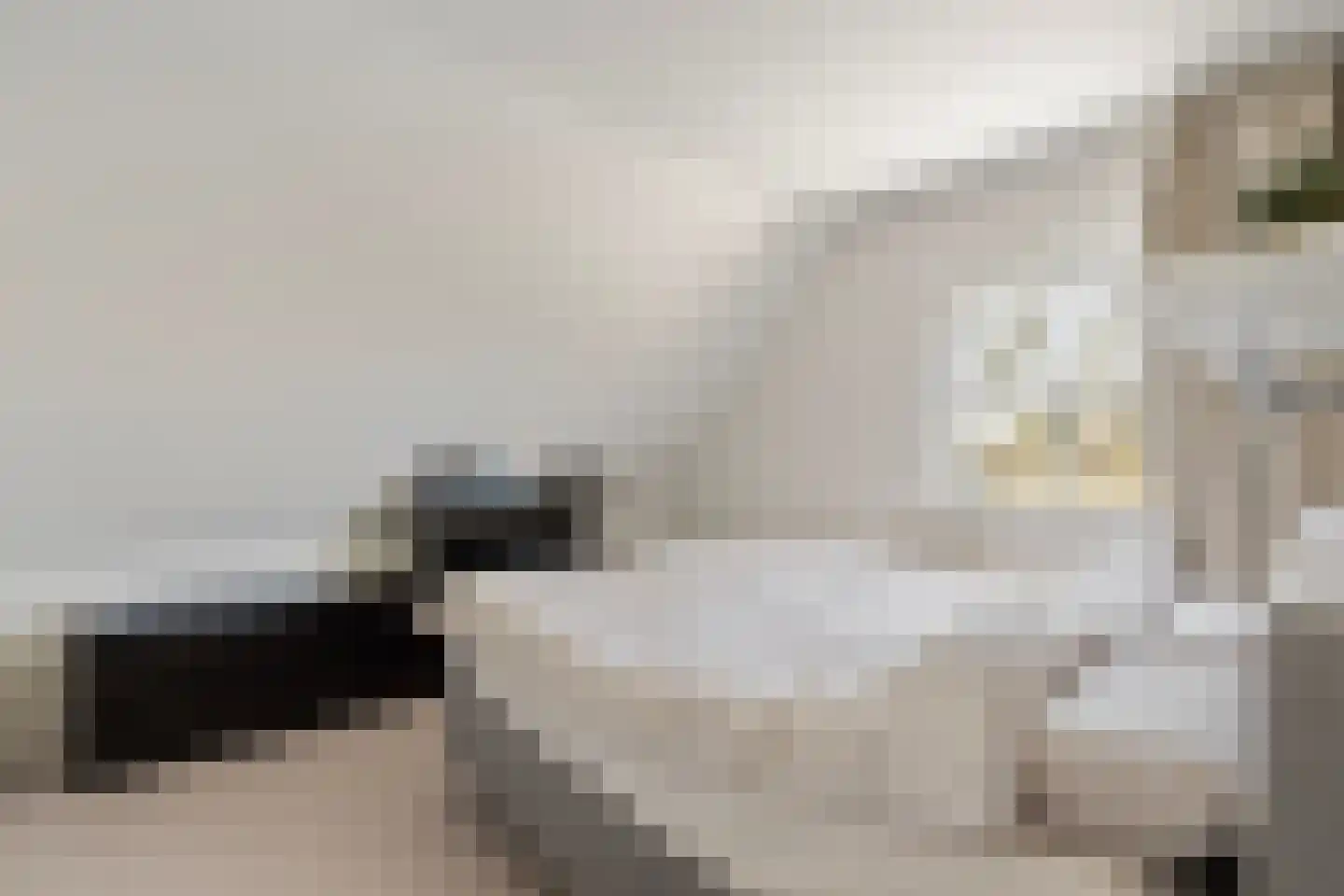 Oudewal 129 Warmenhuizen thumbnail 23