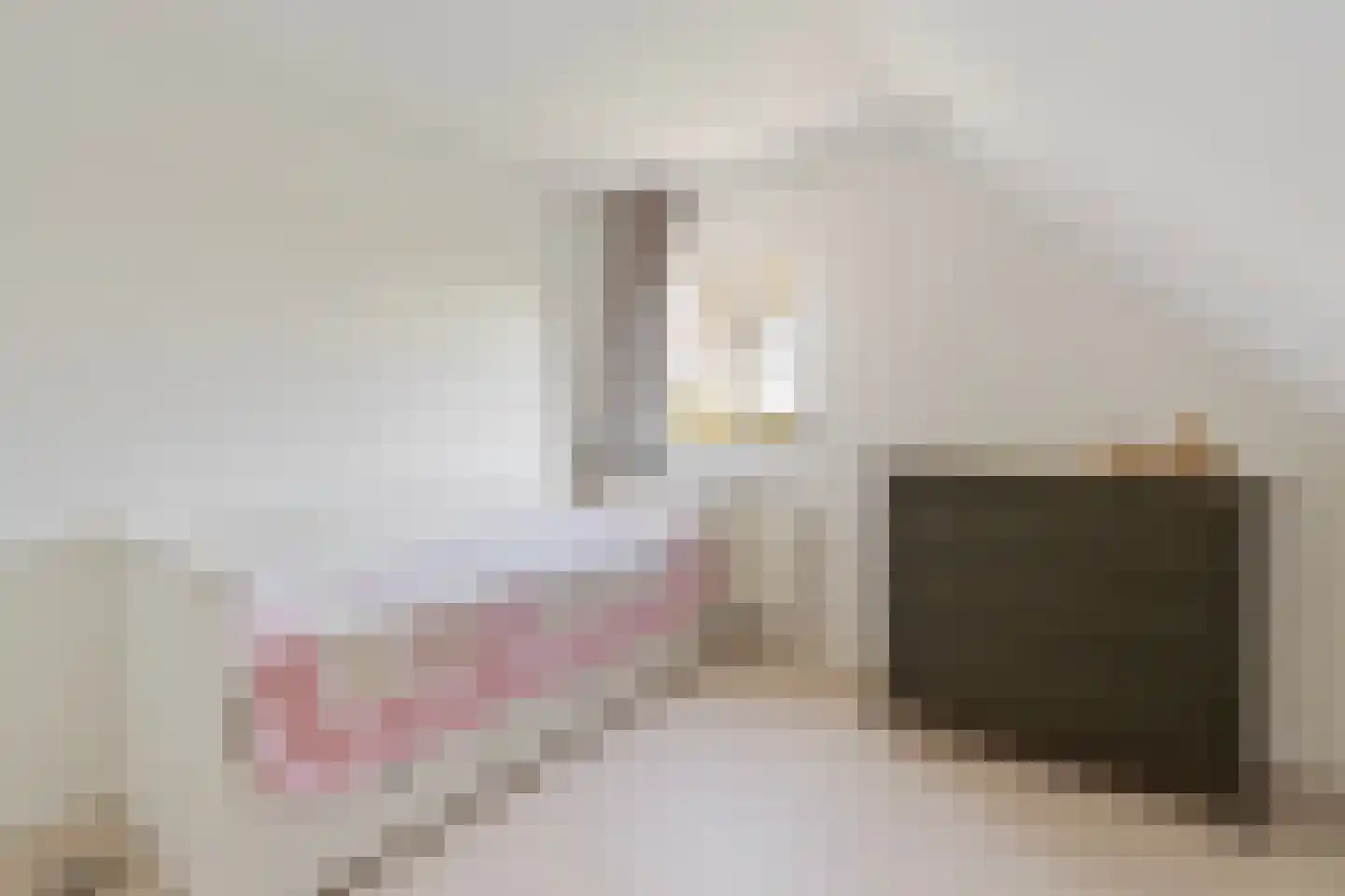 Oudewal 129 Warmenhuizen thumbnail 25