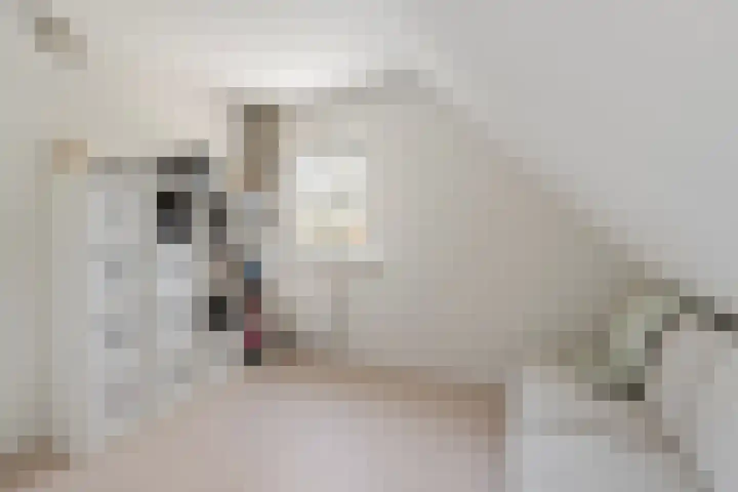 Oudewal 129 Warmenhuizen thumbnail 27
