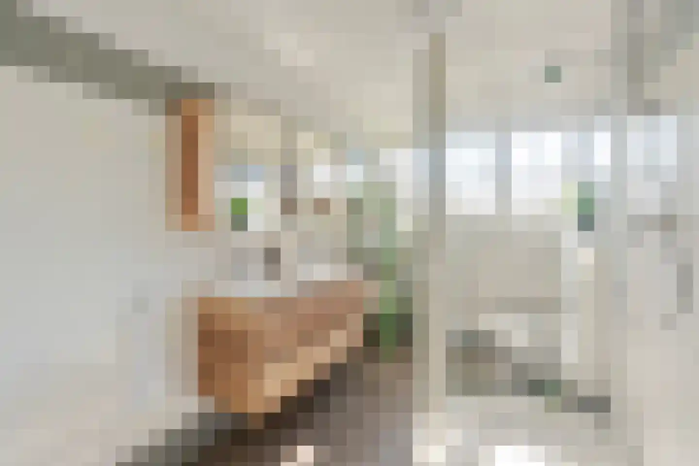 Oudewal 129 Warmenhuizen thumbnail 29