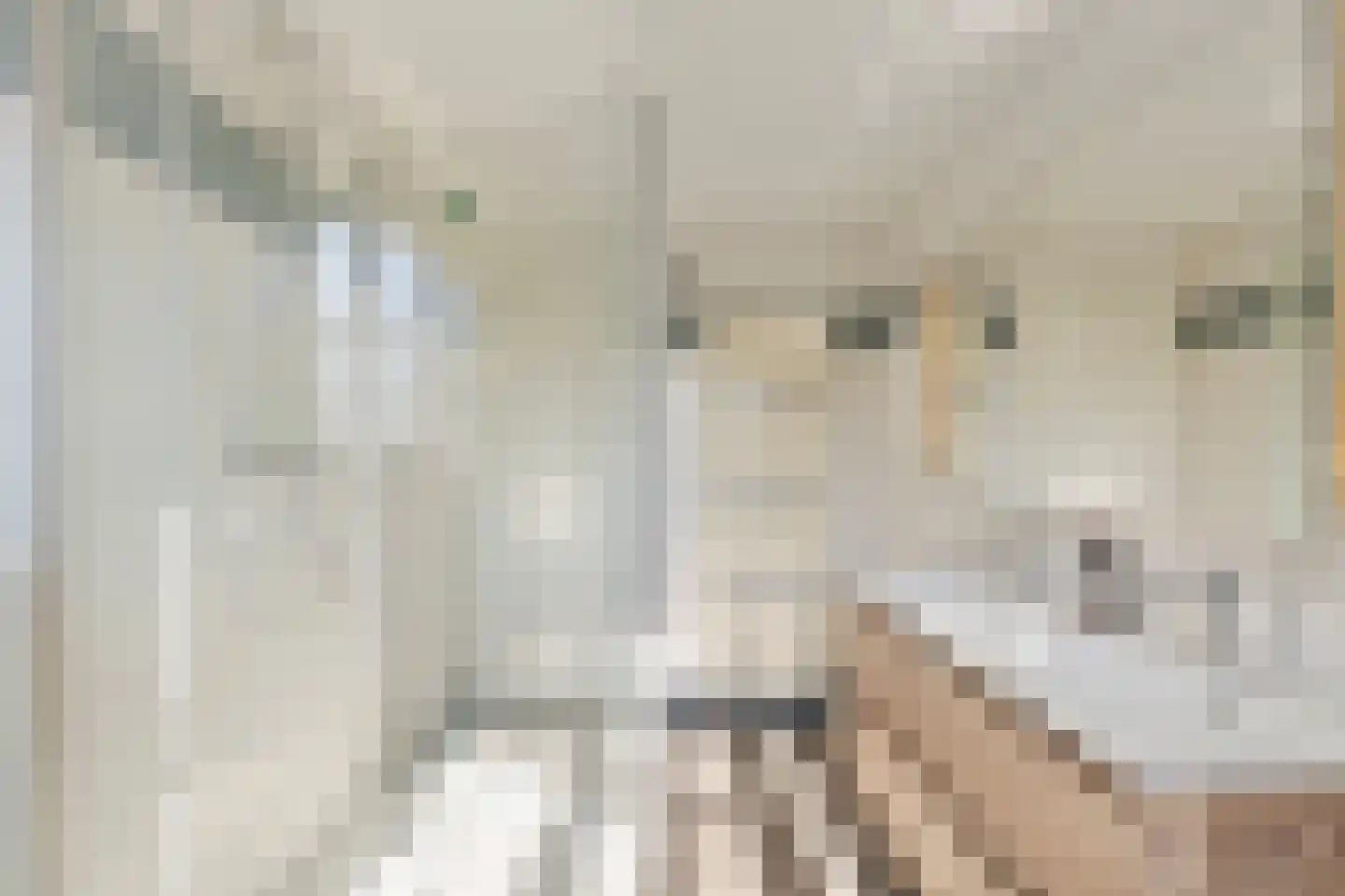 Oudewal 129 Warmenhuizen thumbnail 31