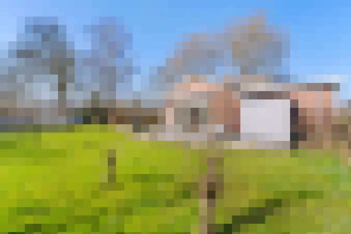 Oudewal 129 Warmenhuizen thumbnail 32